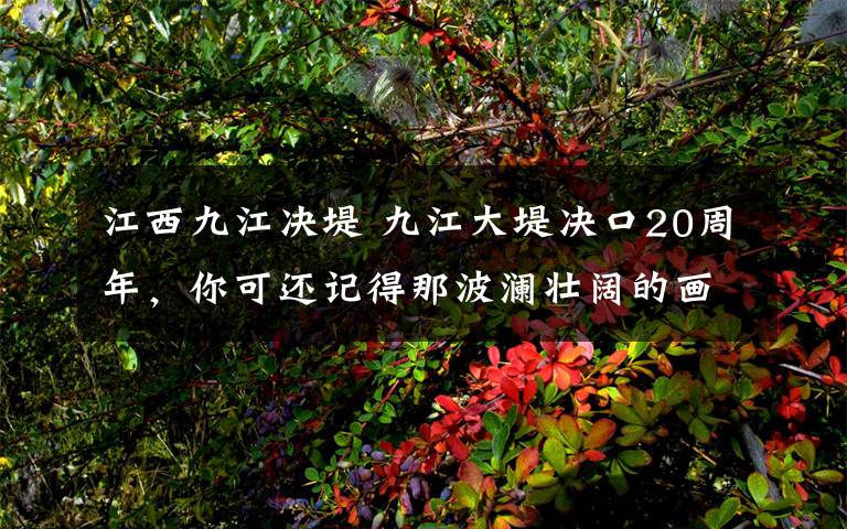 江西九江决堤 九江大堤决口20周年，你可还记得那波澜壮阔的画面满身泥巴的兵？