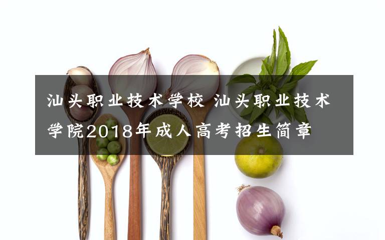 汕头职业技术学校 汕头职业技术学院2018年成人高考招生简章