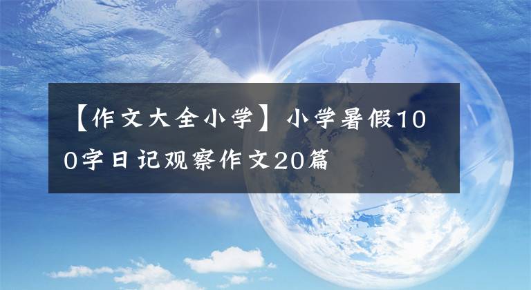 【作文大全小学】小学暑假100字日记观察作文20篇