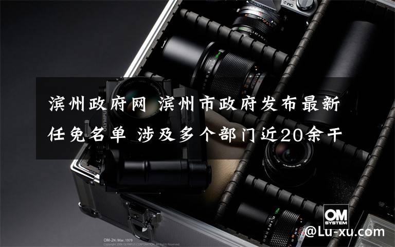 滨州政府网 滨州市政府发布最新任免名单 涉及多个部门近20余干部