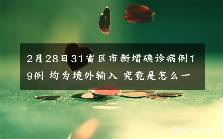 2月28日31省区市新增确诊病例19例 均为境外输入 究竟是怎么一回事?