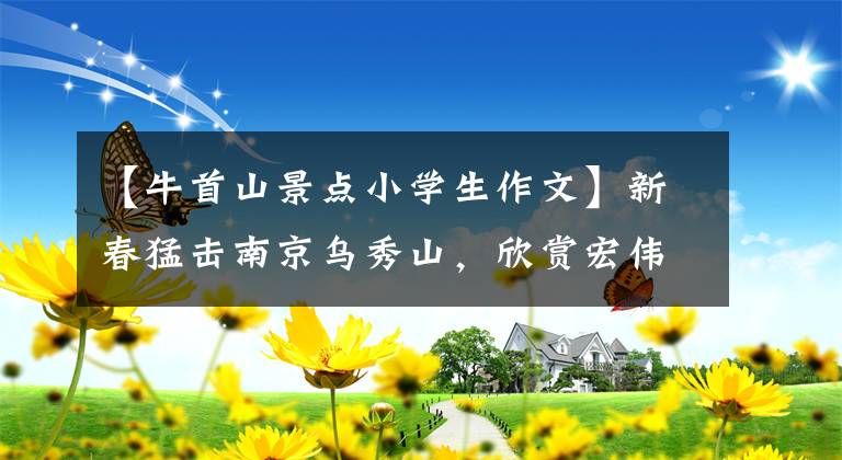 【牛首山景点小学生作文】新春猛击南京乌秀山，欣赏宏伟壮观的不定宫，在新的一年里摸着牛头祈福。