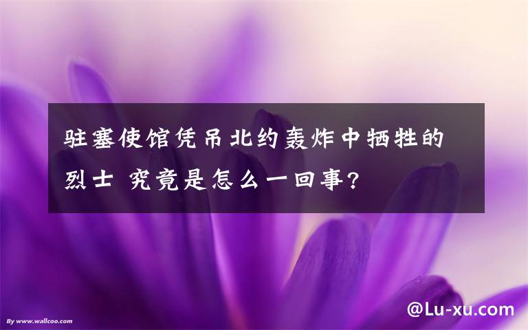 驻塞使馆凭吊北约轰炸中牺牲的烈士 究竟是怎么一回事?