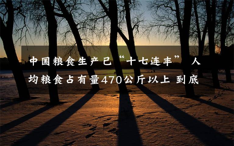 中国粮食生产已“十七连丰” 人均粮食占有量470公斤以上 到底什么情况呢？