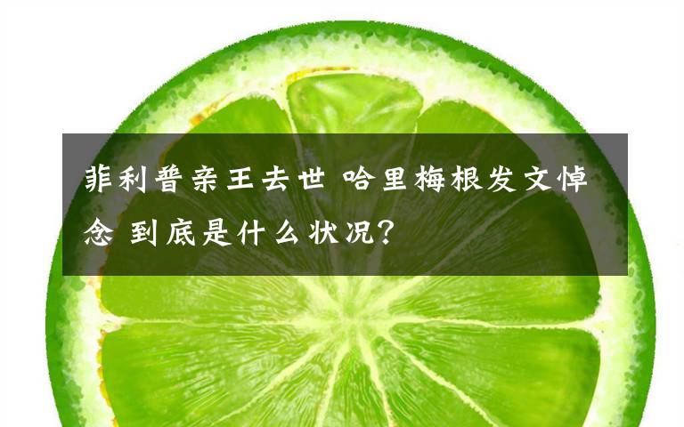 菲利普亲王去世 哈里梅根发文悼念 到底是什么状况？