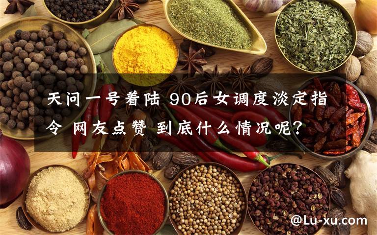 天问一号着陆 90后女调度淡定指令 网友点赞 到底什么情况呢？