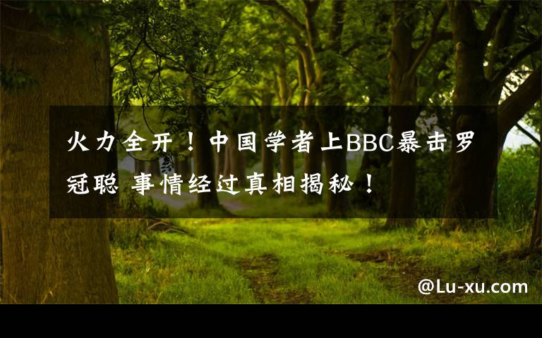 火力全开！中国学者上BBC暴击罗冠聪 事情经过真相揭秘！