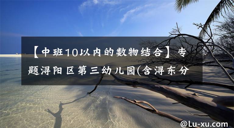 【中班10以内的数物结合】专题浔阳区第三幼儿园(含浔东分园)开展幼儿期末考核测评