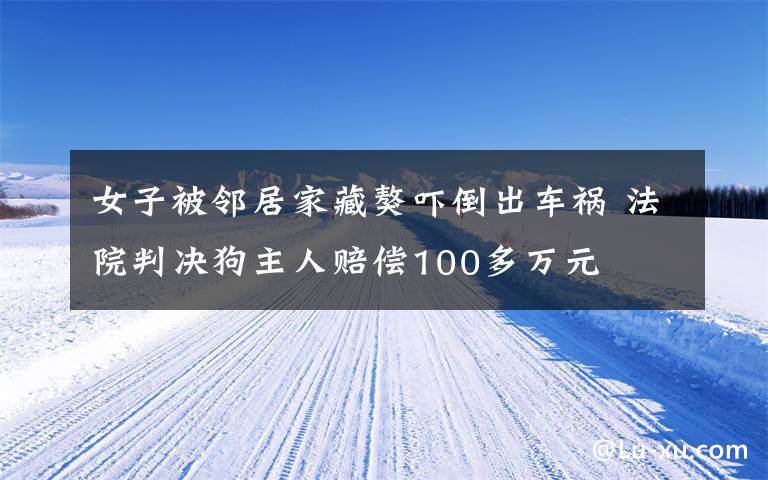 女子被邻居家藏獒吓倒出车祸 法院判决狗主人赔偿100多万元