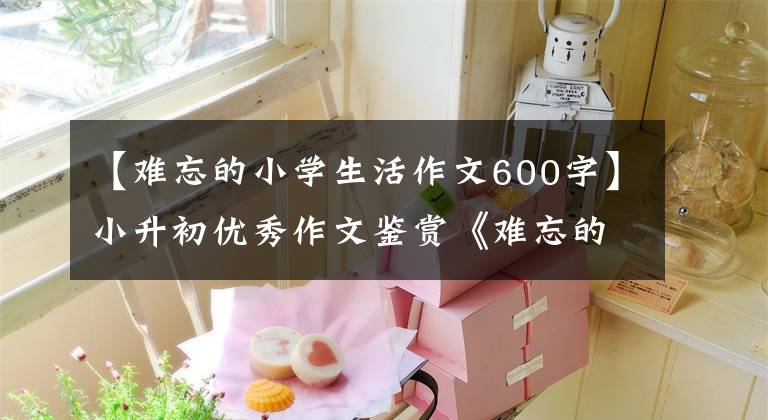 【难忘的小学生活作文600字】小升初优秀作文鉴赏《难忘的小学生活》