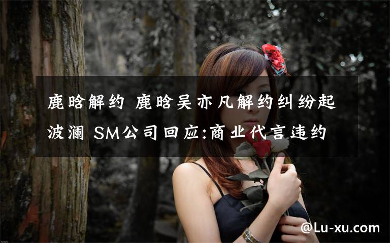 鹿晗解约 鹿晗吴亦凡解约纠纷起波澜 SM公司回应:商业代言违约准备诉讼