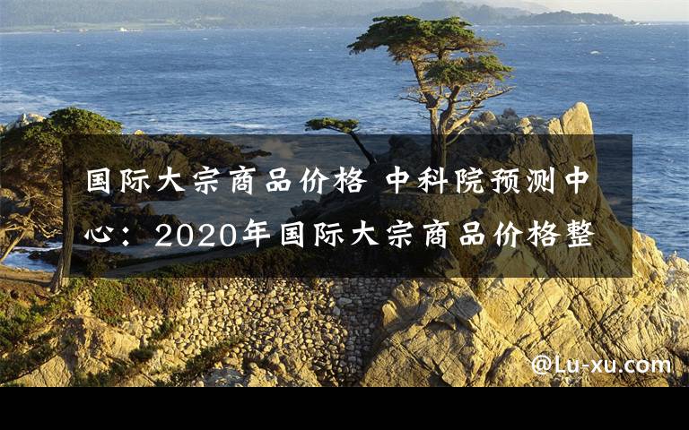 国际大宗商品价格 中科院预测中心：2020年国际大宗商品价格整体平稳