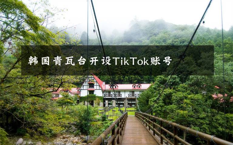 韩国青瓦台开设TikTok账号