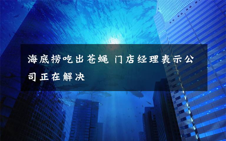 海底捞吃出苍蝇 门店经理表示公司正在解决