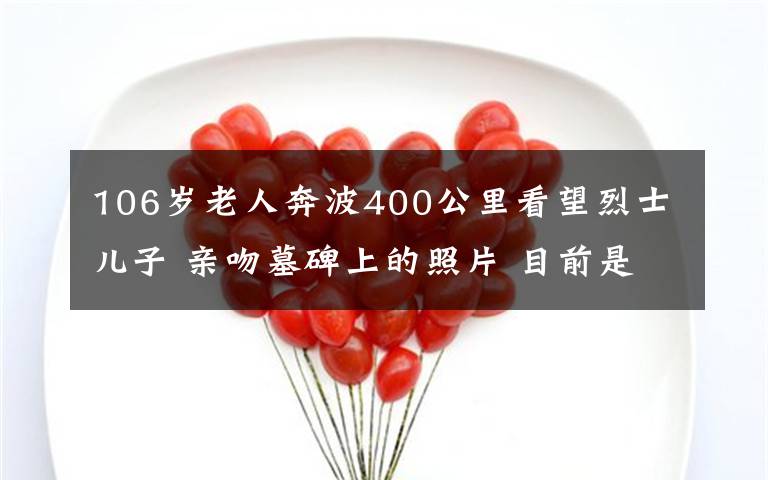 106岁老人奔波400公里看望烈士儿子 亲吻墓碑上的照片 目前是什么情况？