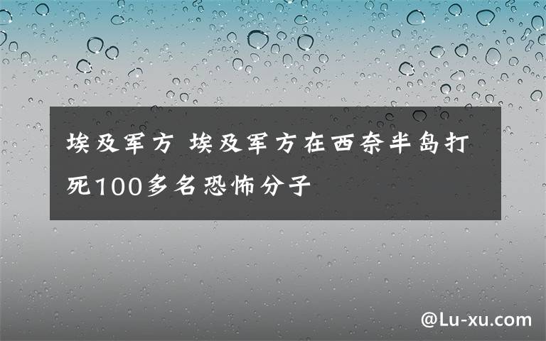 埃及军方 埃及军方在西奈半岛打死100多名恐怖分子