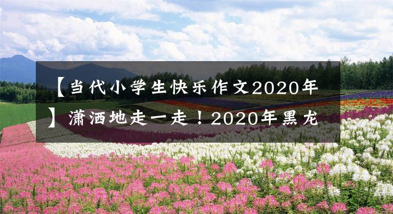 【当代小学生快乐作文2020年】潇洒地走一走！2020年黑龙江省哈尔滨市高考作文《微笑面对生活》
