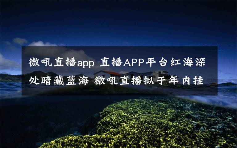 微吼直播app 直播APP平台红海深处暗藏蓝海 微吼直播拟于年内挂牌新三板