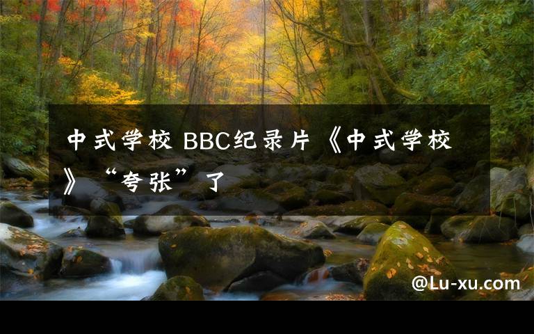 中式学校 BBC纪录片《中式学校》“夸张”了