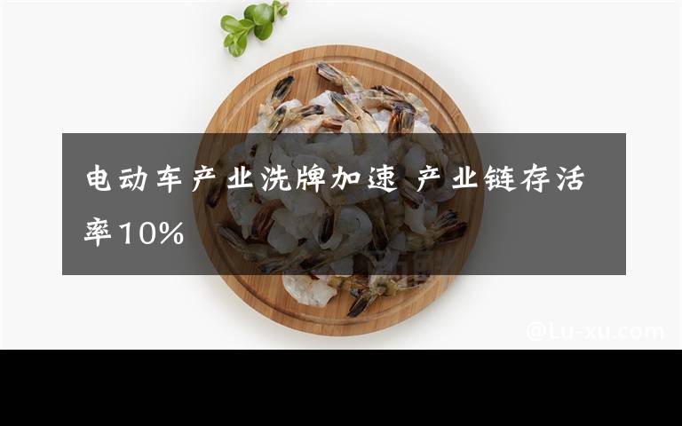 电动车产业洗牌加速 产业链存活率10%