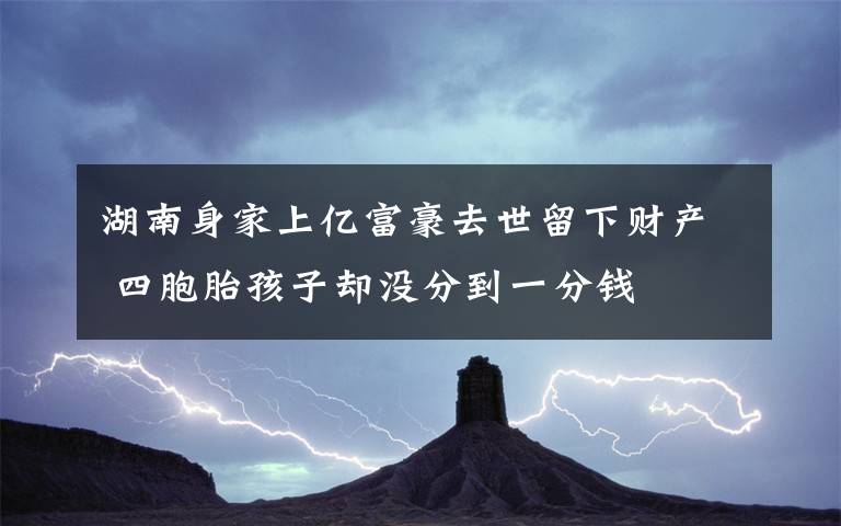 湖南身家上亿富豪去世留下财产 四胞胎孩子却没分到一分钱