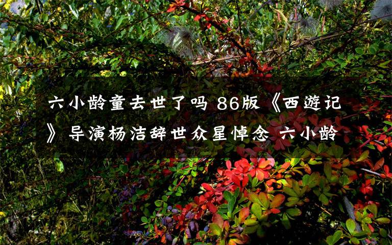 六小龄童去世了吗 86版《西游记》导演杨洁辞世众星悼念 六小龄童：“没有杨洁就没有今天的我”