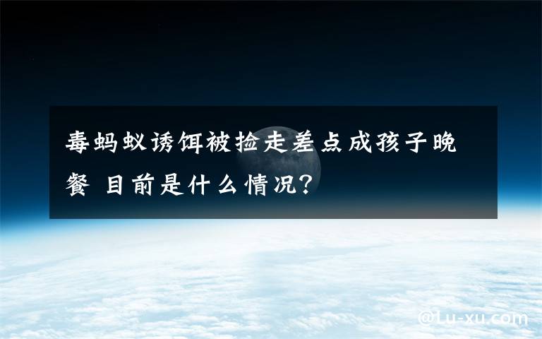 毒蚂蚁诱饵被捡走差点成孩子晚餐 目前是什么情况？