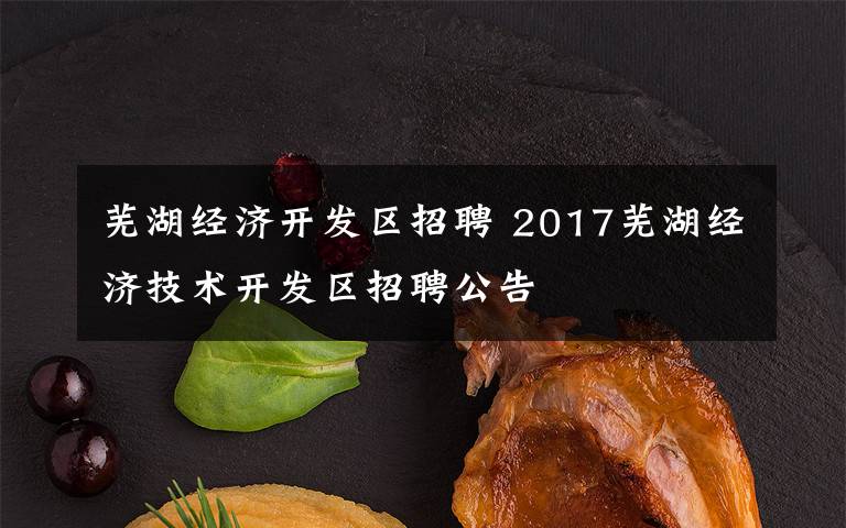 芜湖经济开发区招聘 2017芜湖经济技术开发区招聘公告