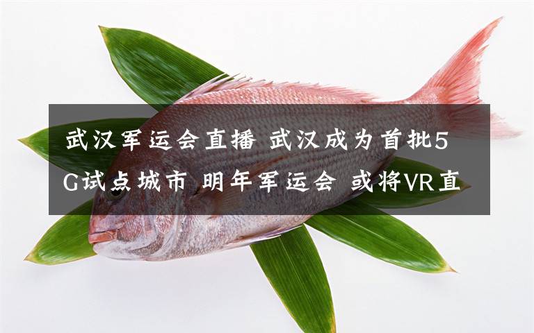 武汉军运会直播 武汉成为首批5G试点城市 明年军运会 或将VR直播