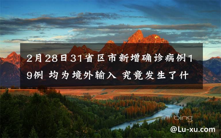 2月28日31省区市新增确诊病例19例 均为境外输入 究竟发生了什么?