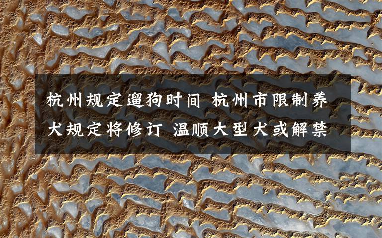 杭州规定遛狗时间 杭州市限制养犬规定将修订 温顺大型犬或解禁