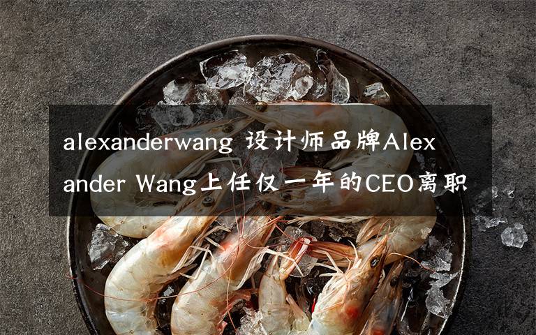 alexanderwang 设计师品牌Alexander Wang上任仅一年的CEO离职