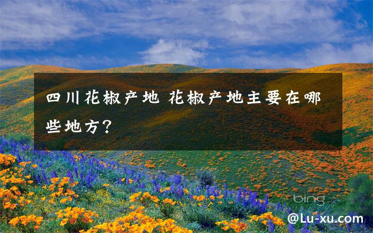 四川花椒产地 花椒产地主要在哪些地方？