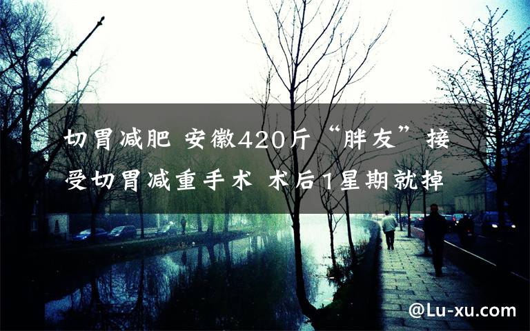 切胃减肥 安徽420斤“胖友”接受切胃减重手术 术后1星期就掉了20多斤肉