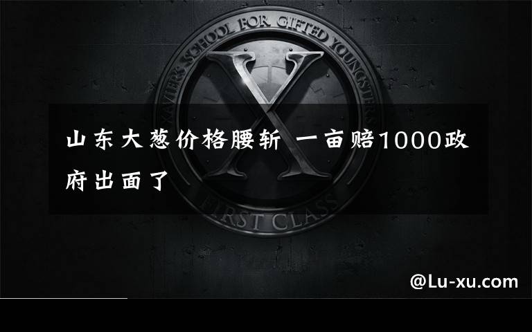 山东大葱价格腰斩 一亩赔1000政府出面了