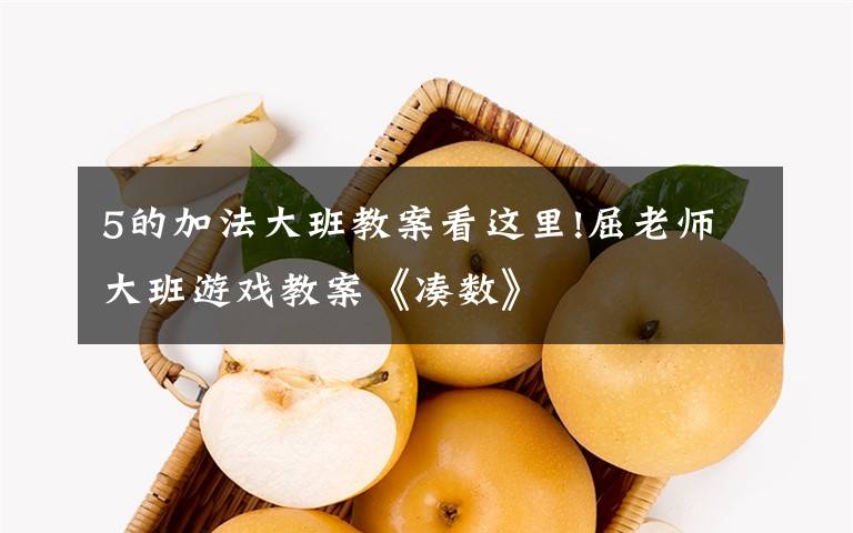 5的加法大班教案看这里!屈老师大班游戏教案《凑数》