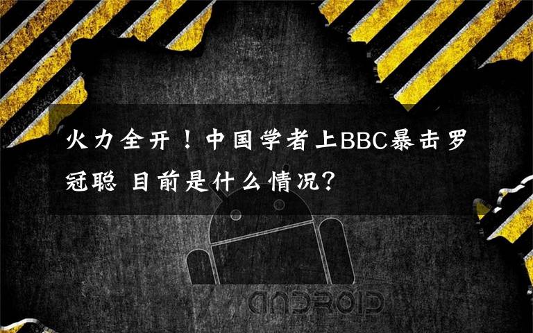 火力全开！中国学者上BBC暴击罗冠聪 目前是什么情况？