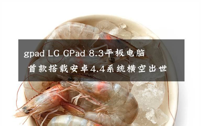 gpad LG GPad 8.3平板电脑     首款搭载安卓4.4系统横空出世