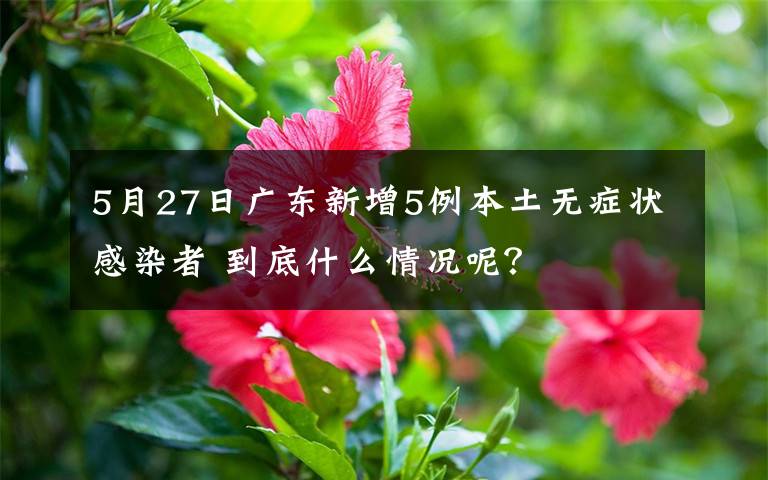 5月27日广东新增5例本土无症状感染者 到底什么情况呢？