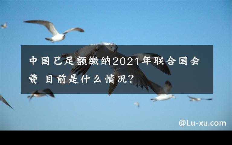 中国已足额缴纳2021年联合国会费 目前是什么情况？