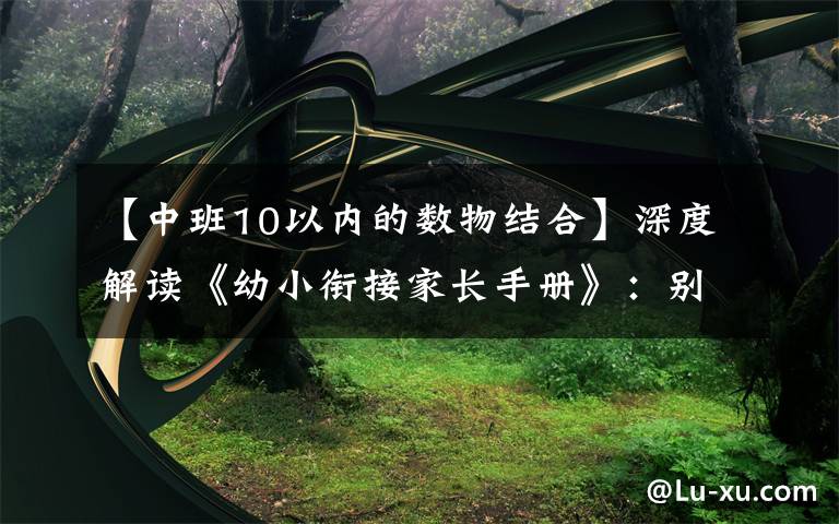 【中班10以内的数物结合】深度解读《幼小衔接家长手册》：别让你的准备，成无用功