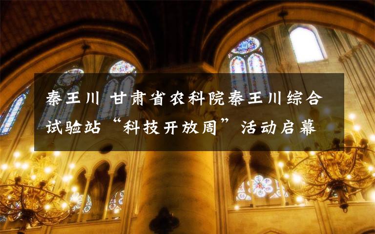 秦王川 甘肃省农科院秦王川综合试验站“科技开放周”活动启幕