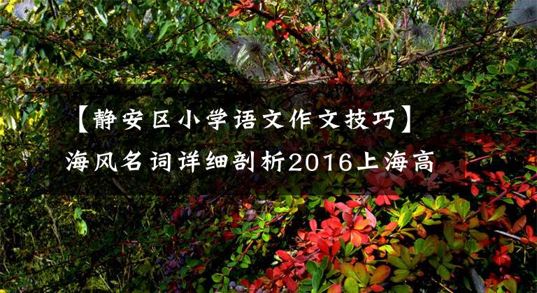 【静安区小学语文作文技巧】海风名词详细剖析2016上海高考语文作文