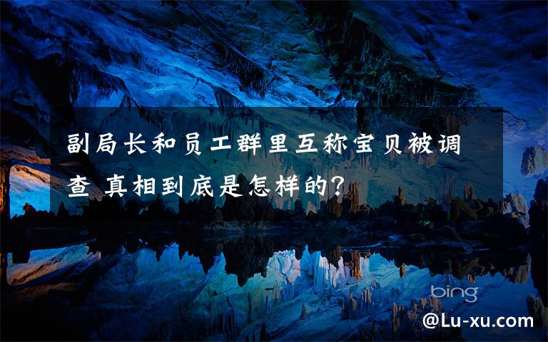 副局长和员工群里互称宝贝被调查 真相到底是怎样的？