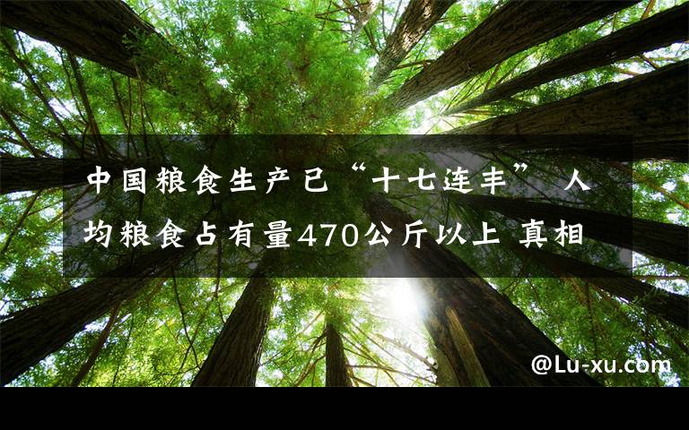 中国粮食生产已“十七连丰” 人均粮食占有量470公斤以上 真相到底是怎样的？