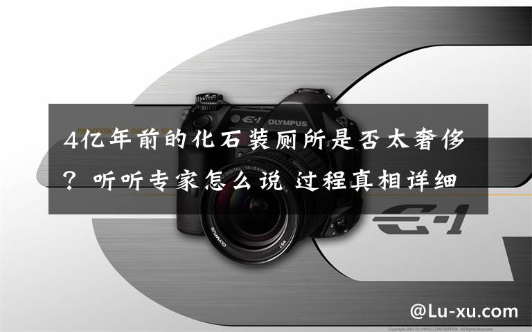 4亿年前的化石装厕所是否太奢侈？听听专家怎么说 过程真相详细揭秘！