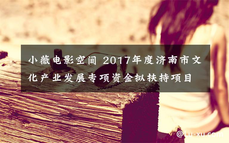 小薇电影空间 2017年度济南市文化产业发展专项资金拟扶持项目公示