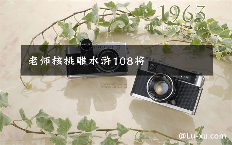 老师核桃雕水浒108将