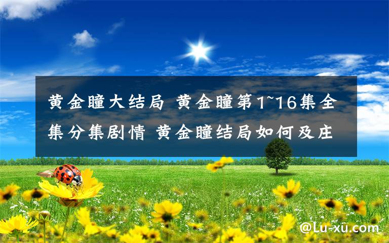 黄金瞳大结局 黄金瞳第1~16集全集分集剧情 黄金瞳结局如何及庄睿最后跟谁在一起