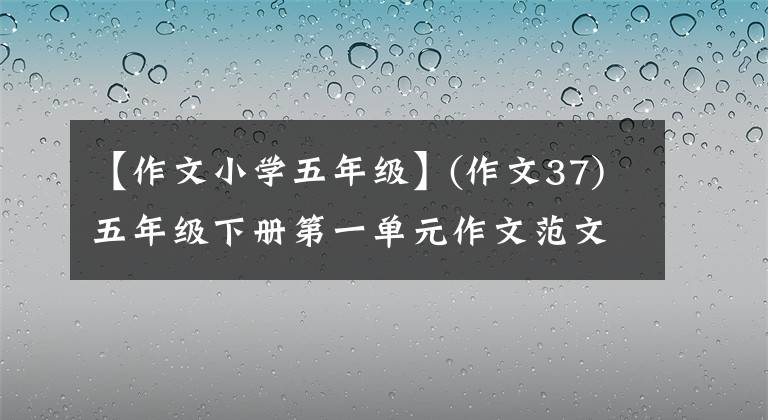 【作文小学五年级】(作文37)五年级下册第一单元作文范文《那一刻，我长大了》